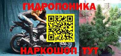 трава Гусь-Хрустальный