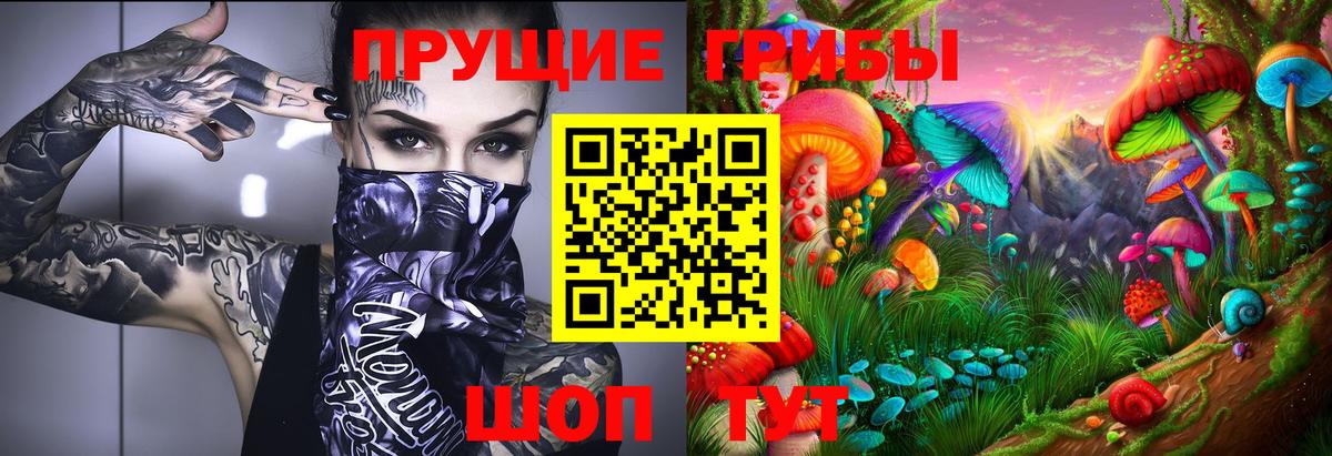 Псилоцибиновые грибы Psilocybine cubensis  Псилоцибиновые грибы мухоморы  Вход с VPN  Мценск 